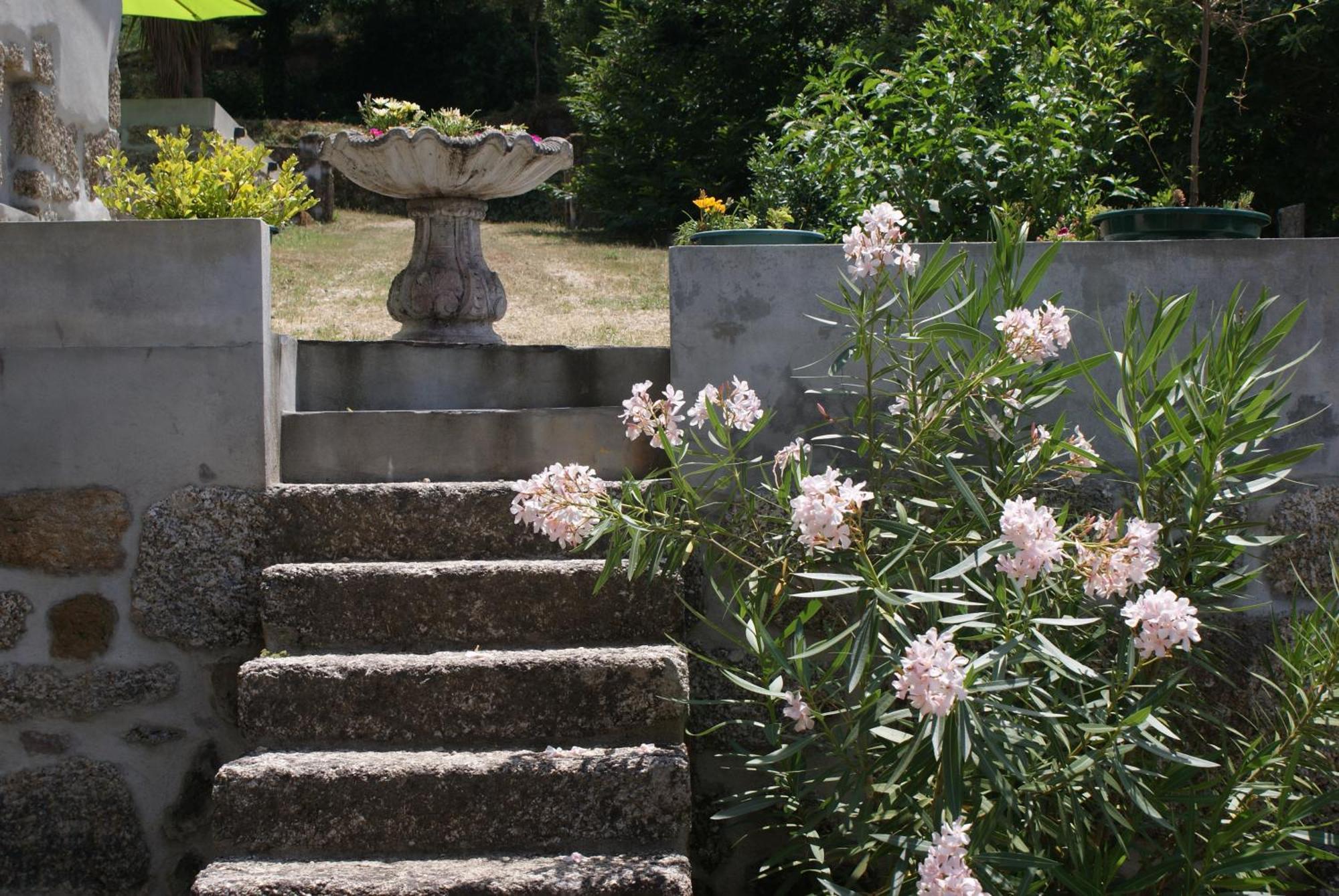 Quinta Da Encavalada Villa Nogueira do Cravo Exterior photo